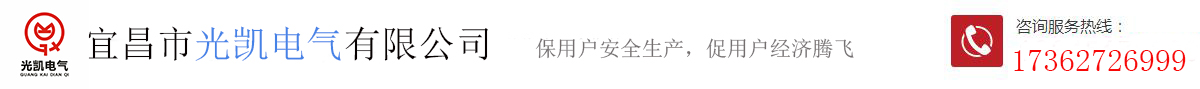 自貢市龍鳳彩燈文化藝術(shù)有限公司